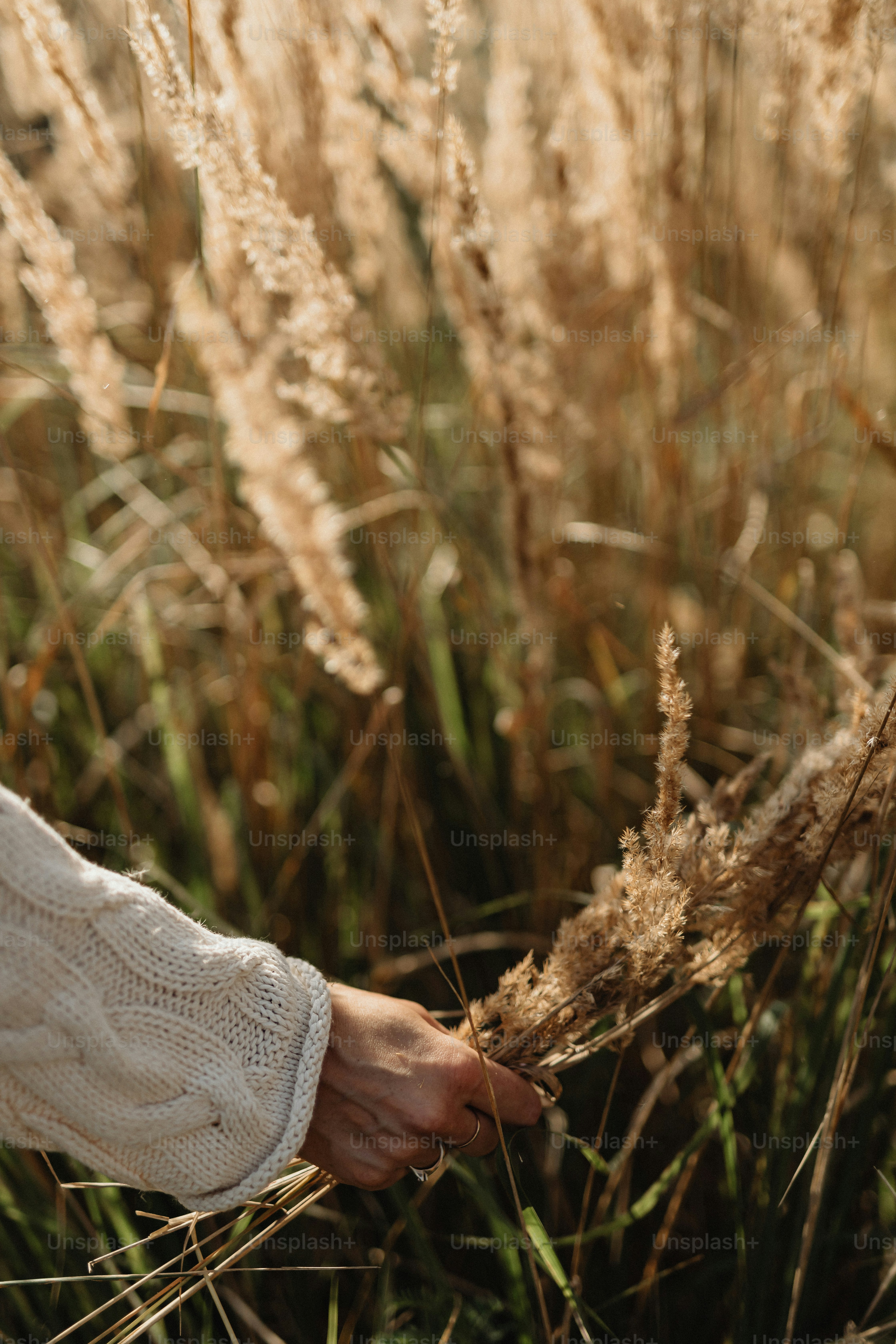 Una donna in un maglione bianco sta toccando una pianta