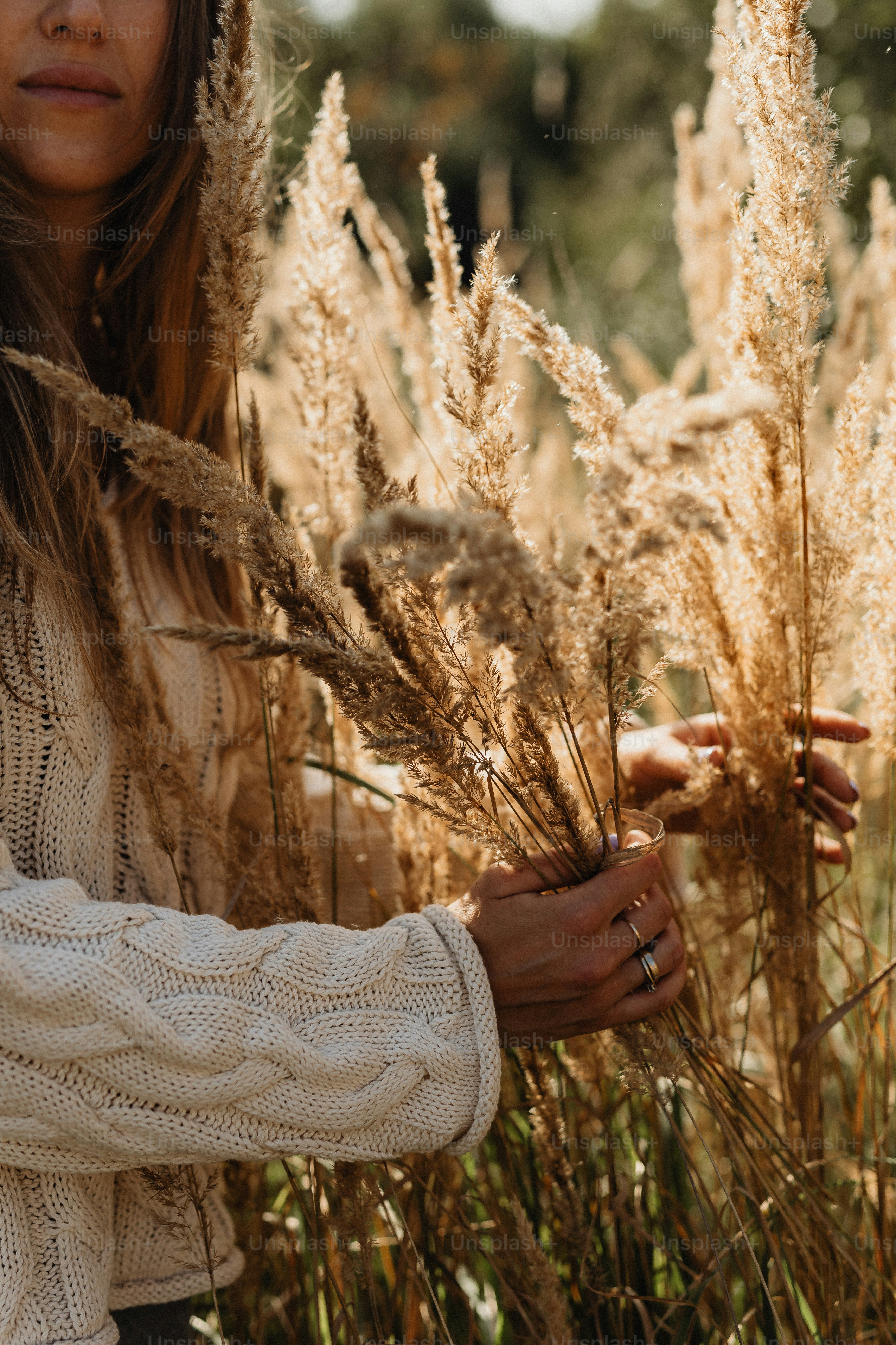 키 큰 풀밭에 있는 여자