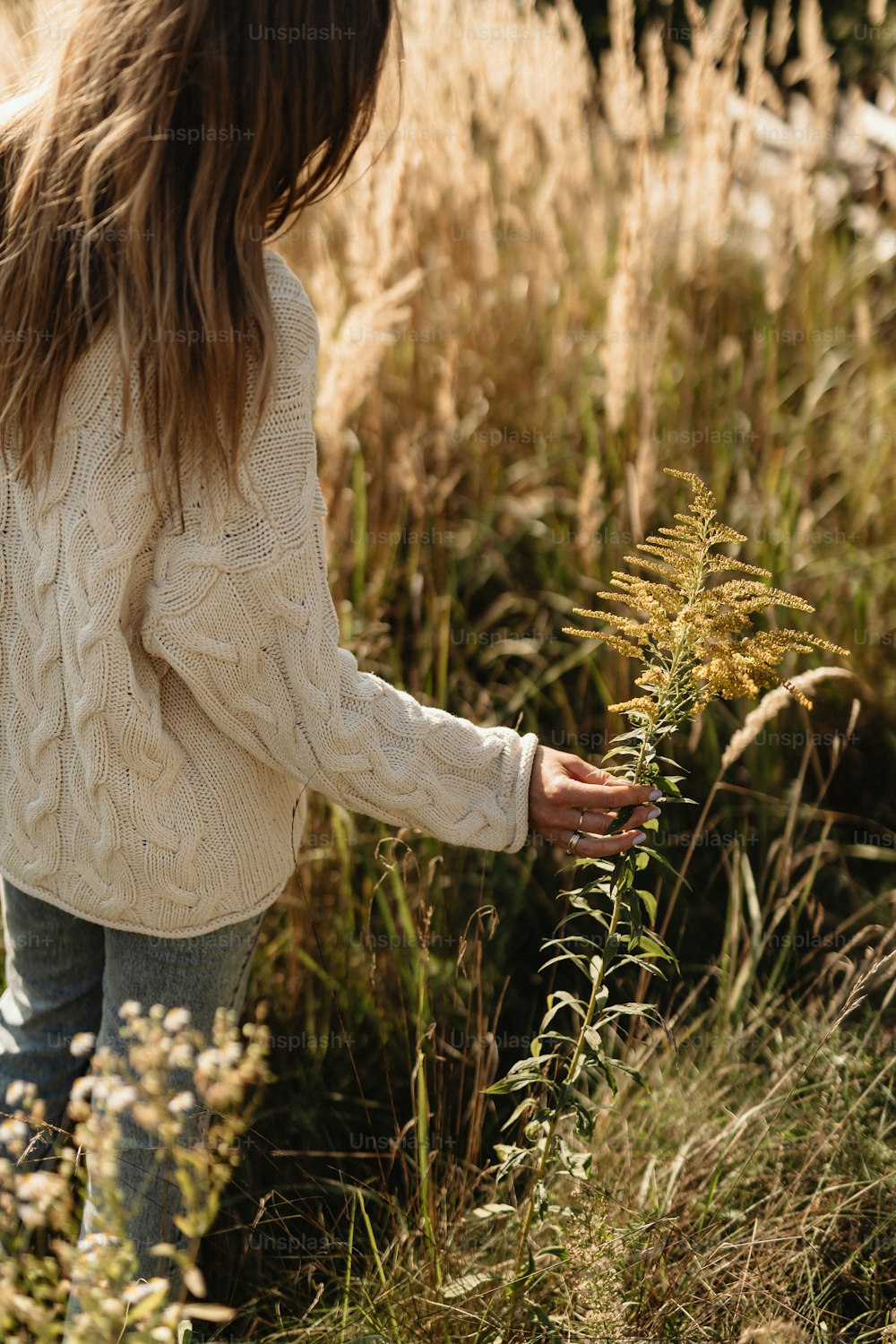 uma mulher caminhando por um campo de grama alta