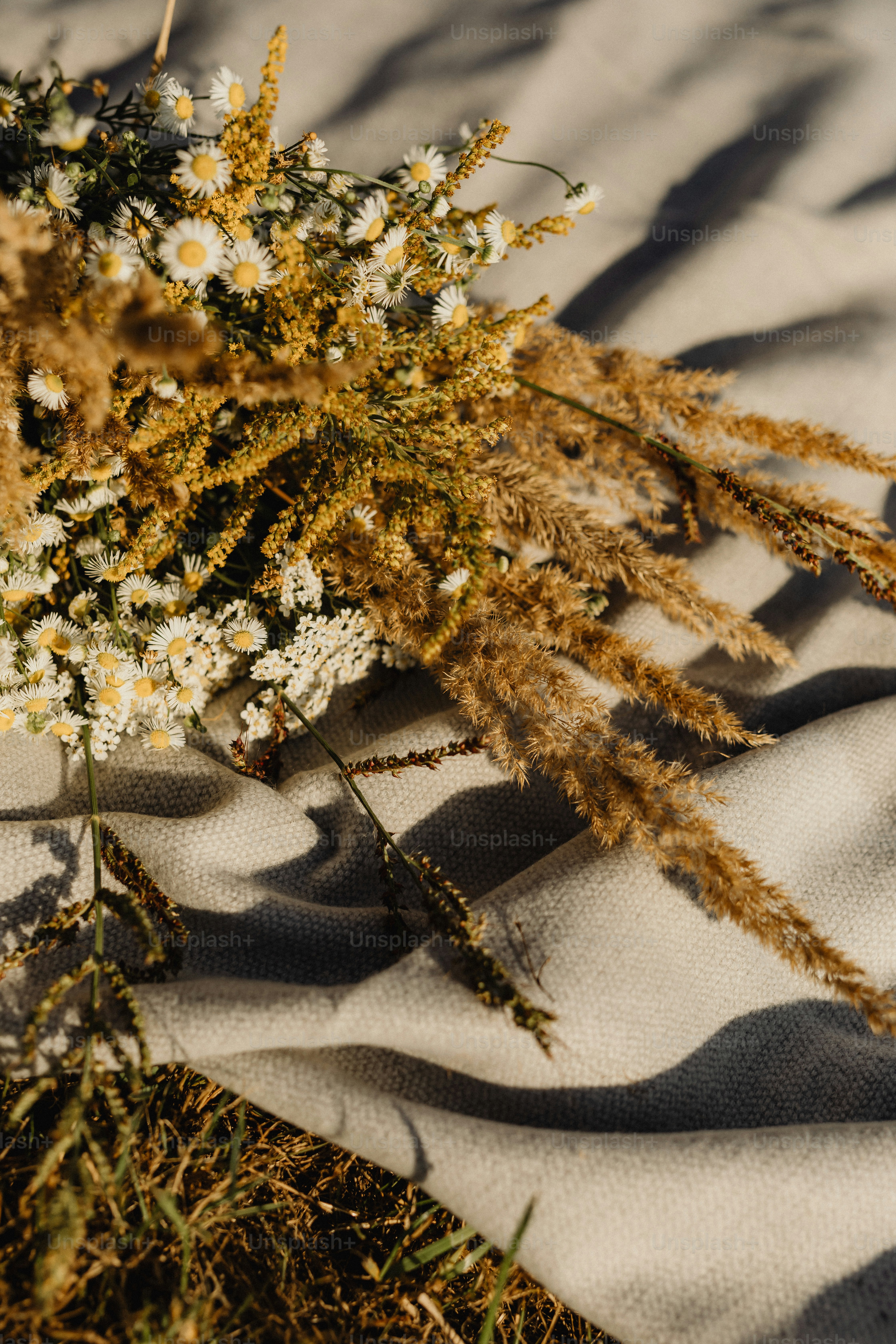 a bunch of flowers that are sitting on a blanket