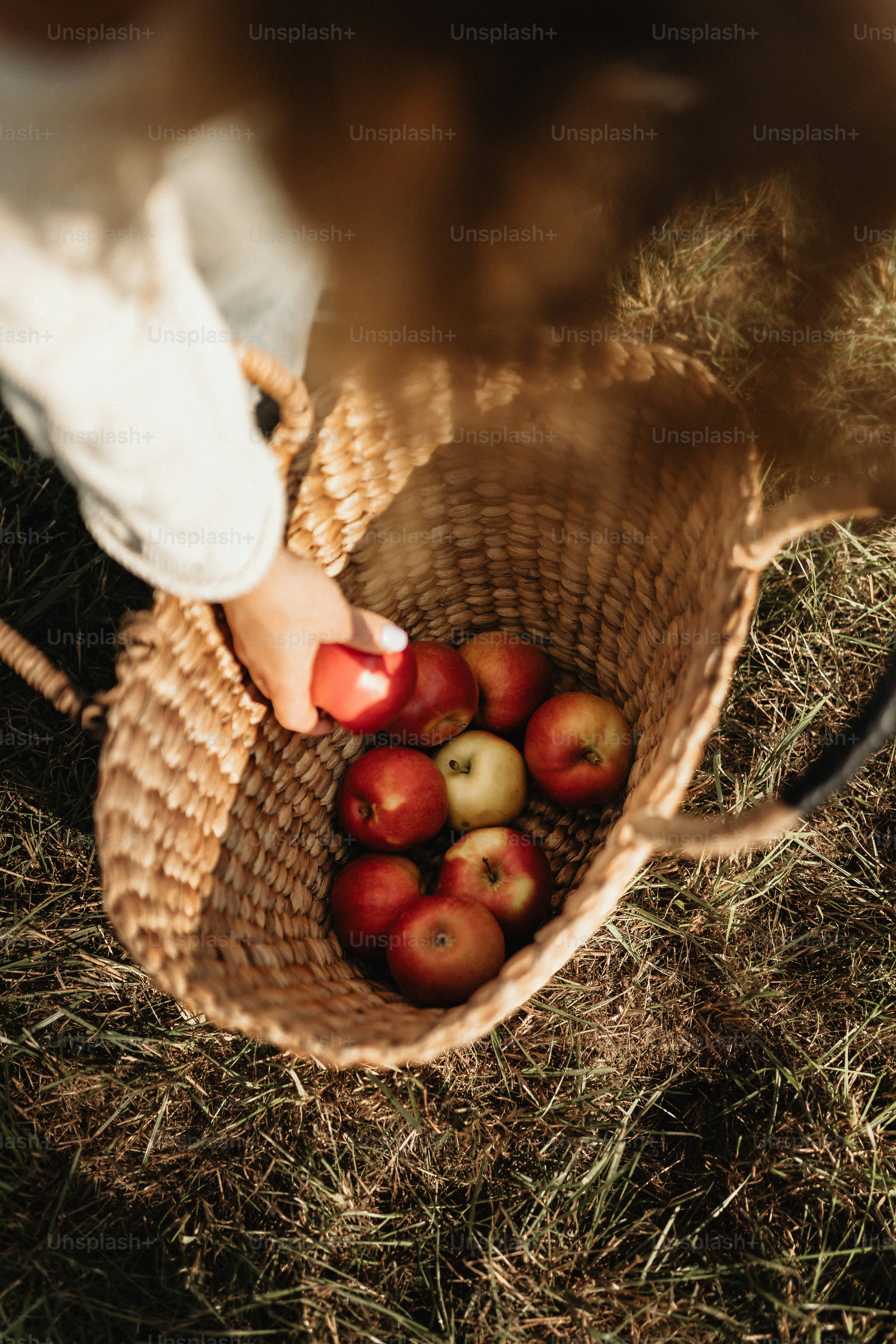 a person holding a basket full of apples