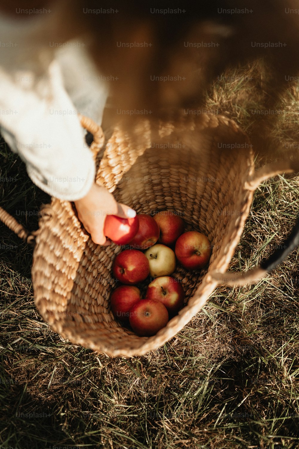 a person holding a basket full of apples