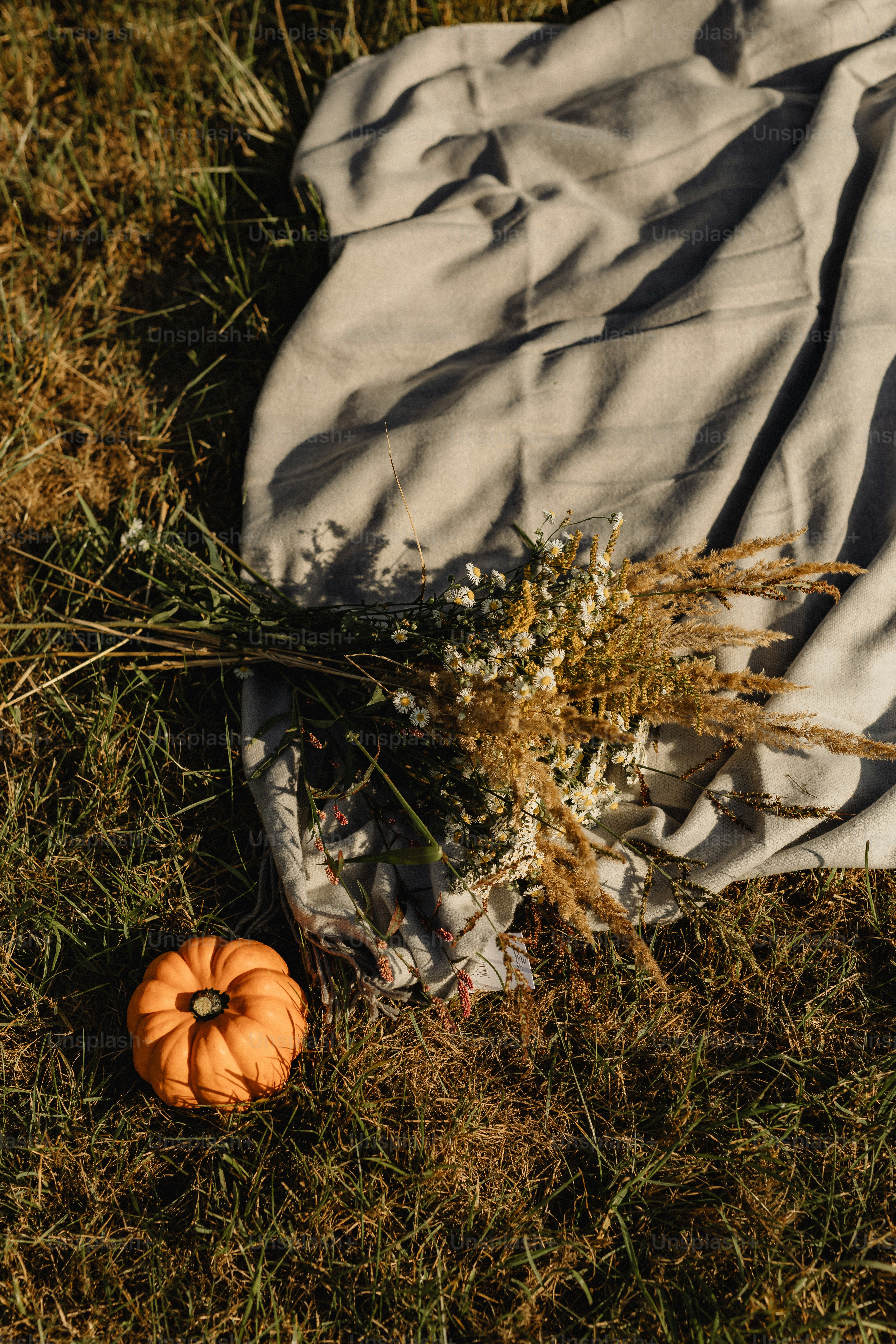 una coperta e una zucca per terra