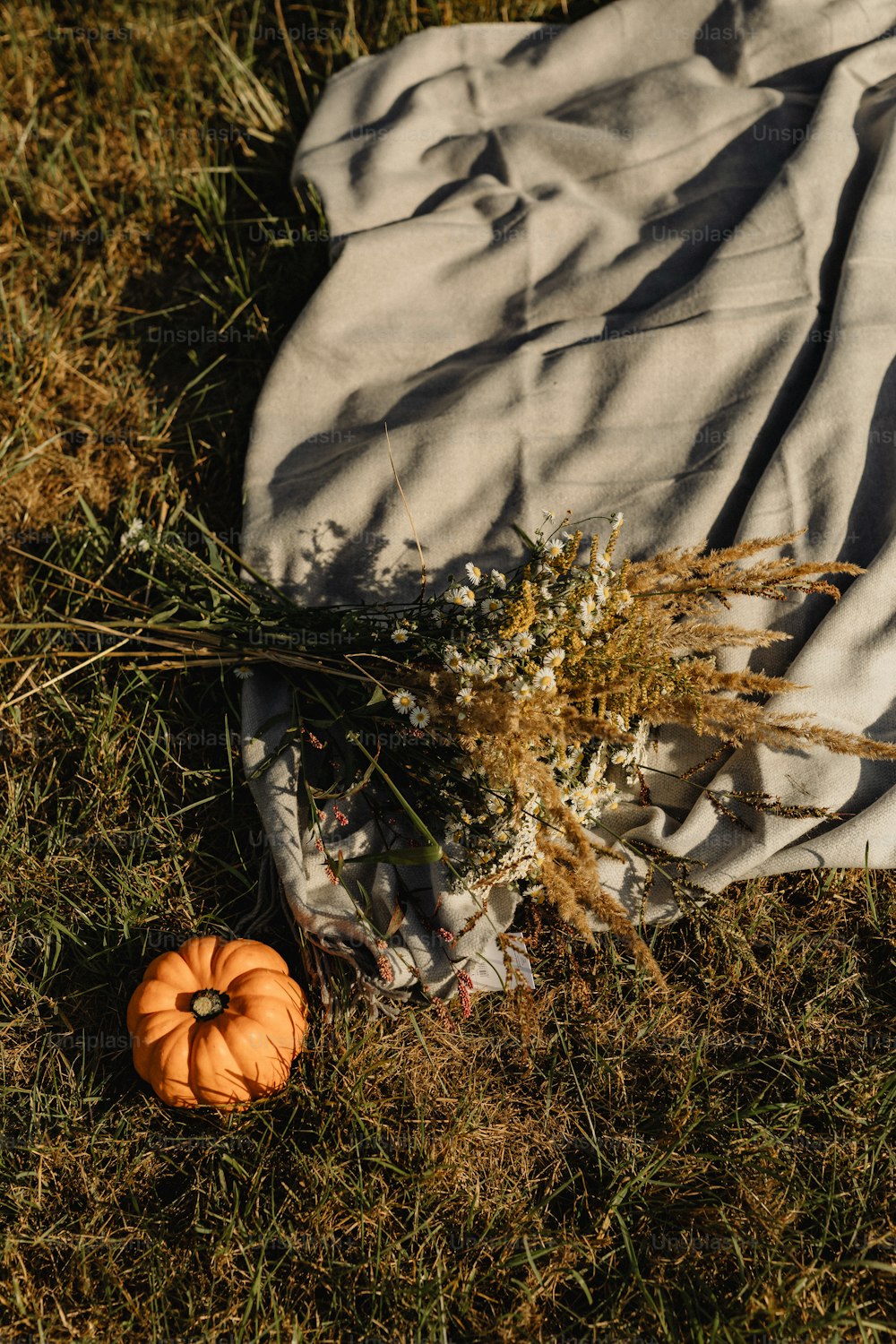 a blanket and a pumpkin on the ground
