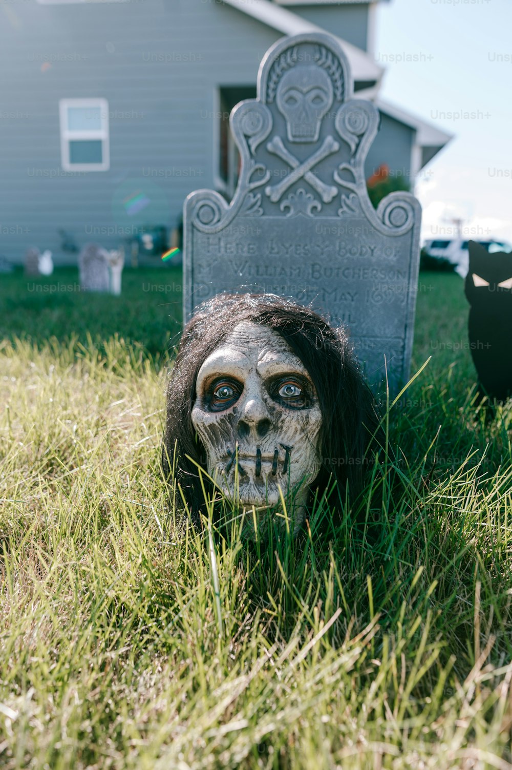 a skull head laying in the grass next to a grave