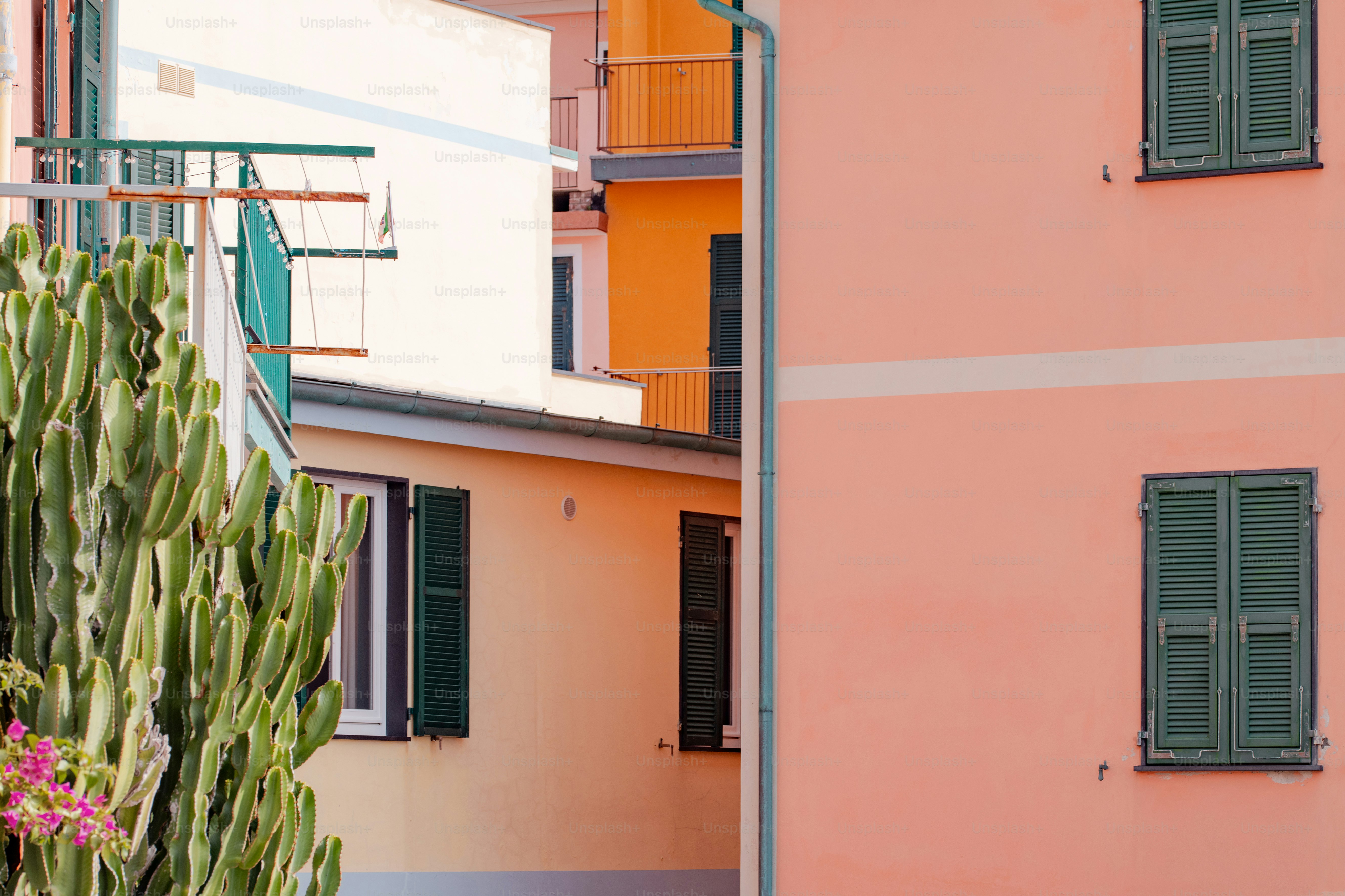 Un bâtiment rose avec des volets verts à côté d’un cactus