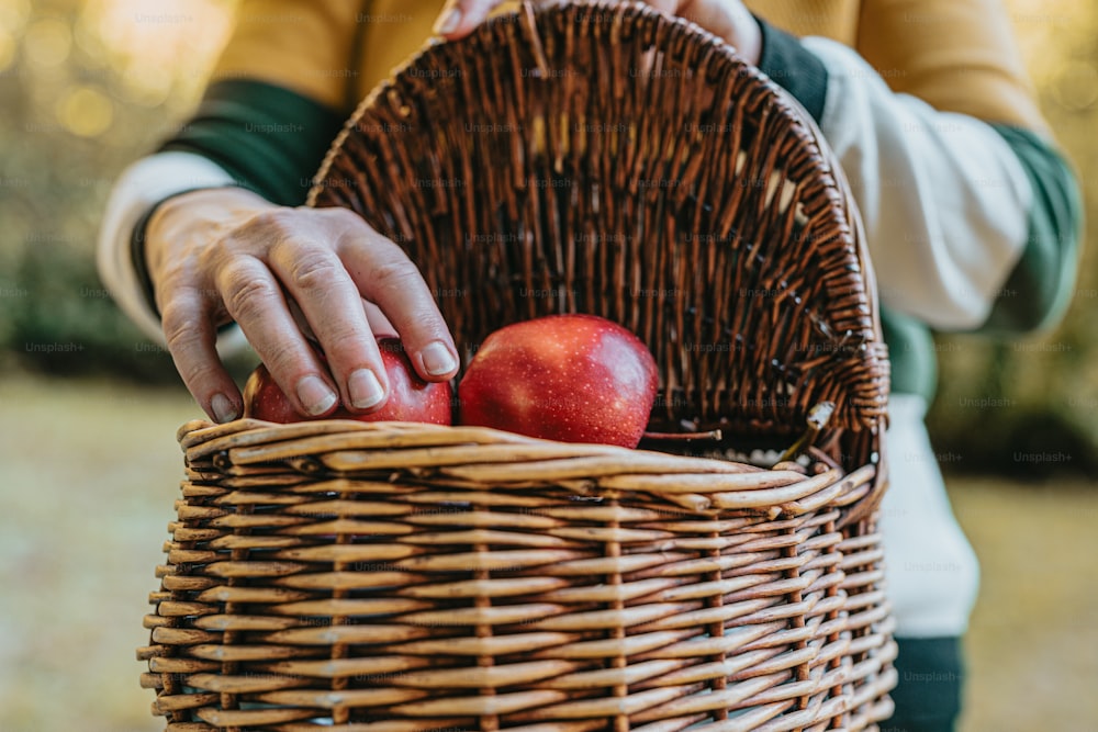 a person holding a basket with two apples in it