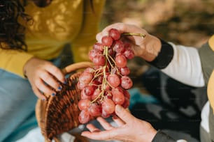 a person holding a basket of grapes in their hands