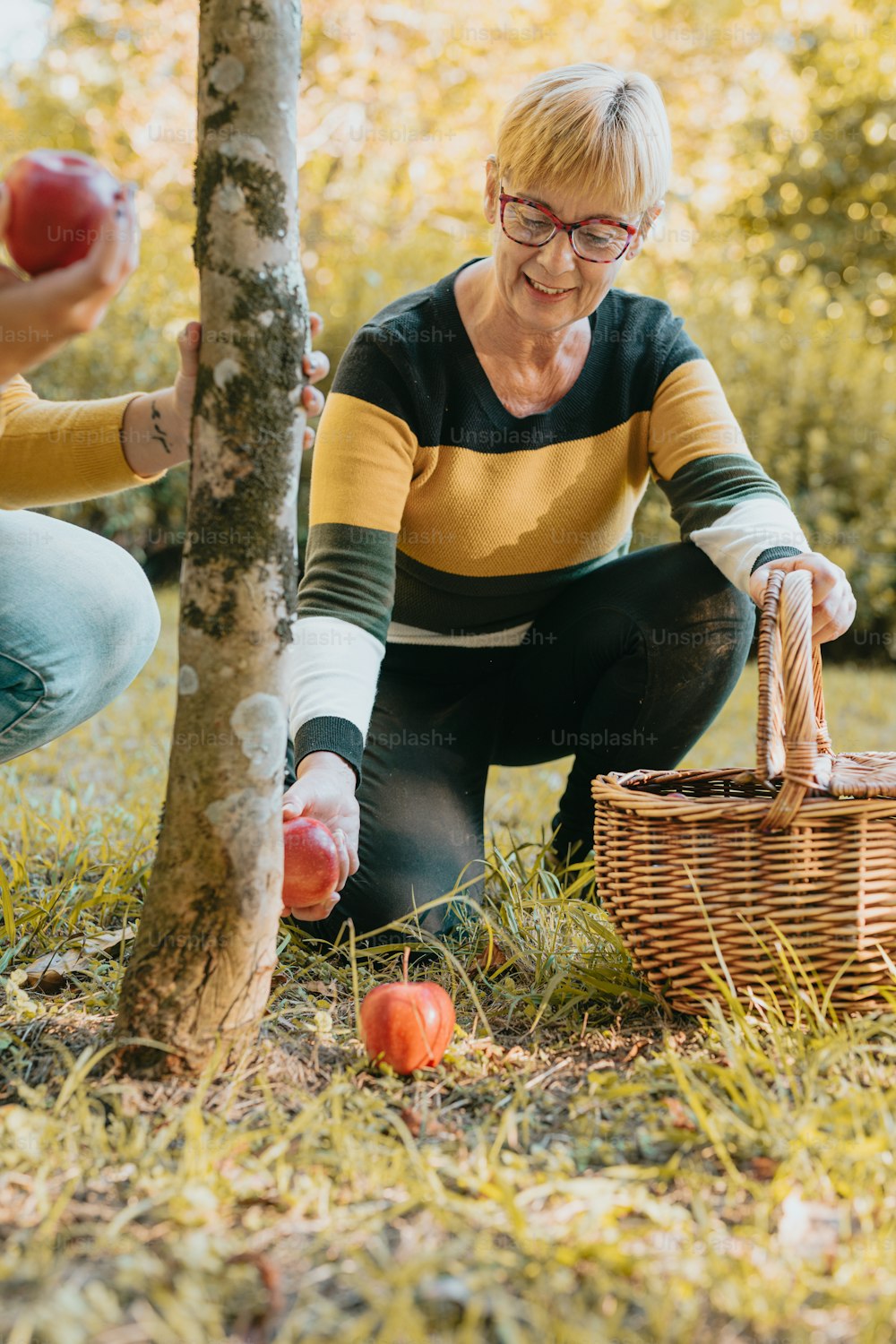 Deux femmes cueillant des pommes dans un arbre