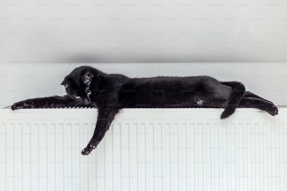 um gato preto deitado em cima de um radiador