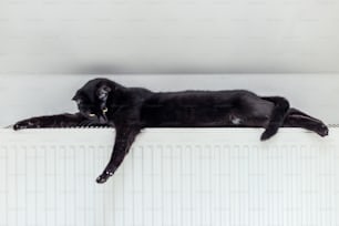 Un gatto nero che giace sopra un radiatore