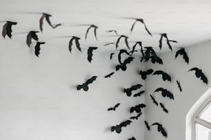 Un grupo de murciélagos colgando de una pared