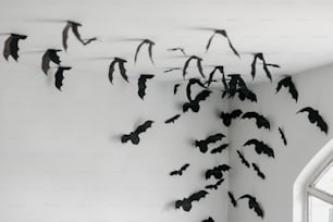 a group of bats hanging from a wall