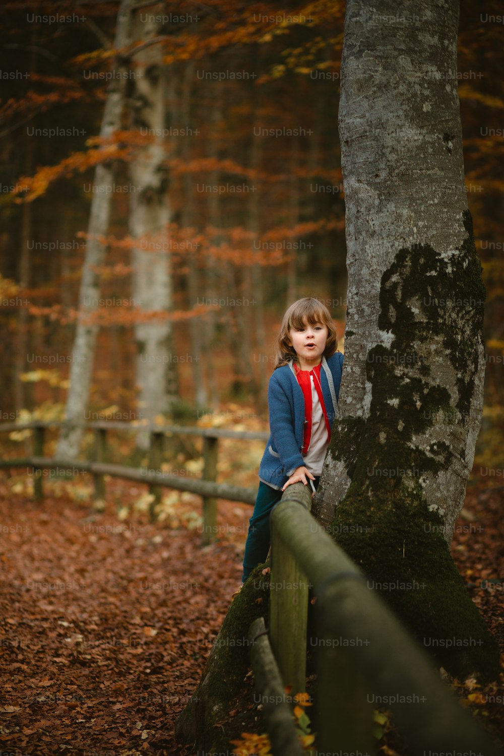 Una niña parada en una cerca junto a un árbol
