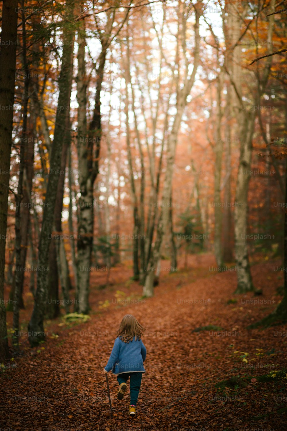 a little girl walking down a leaf covered path