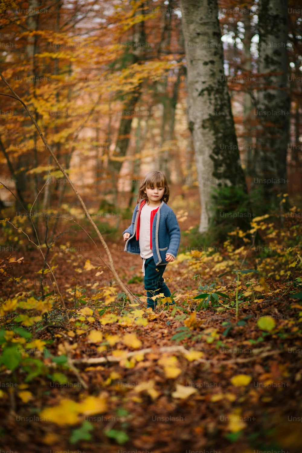 a little girl walking through a forest in the fall