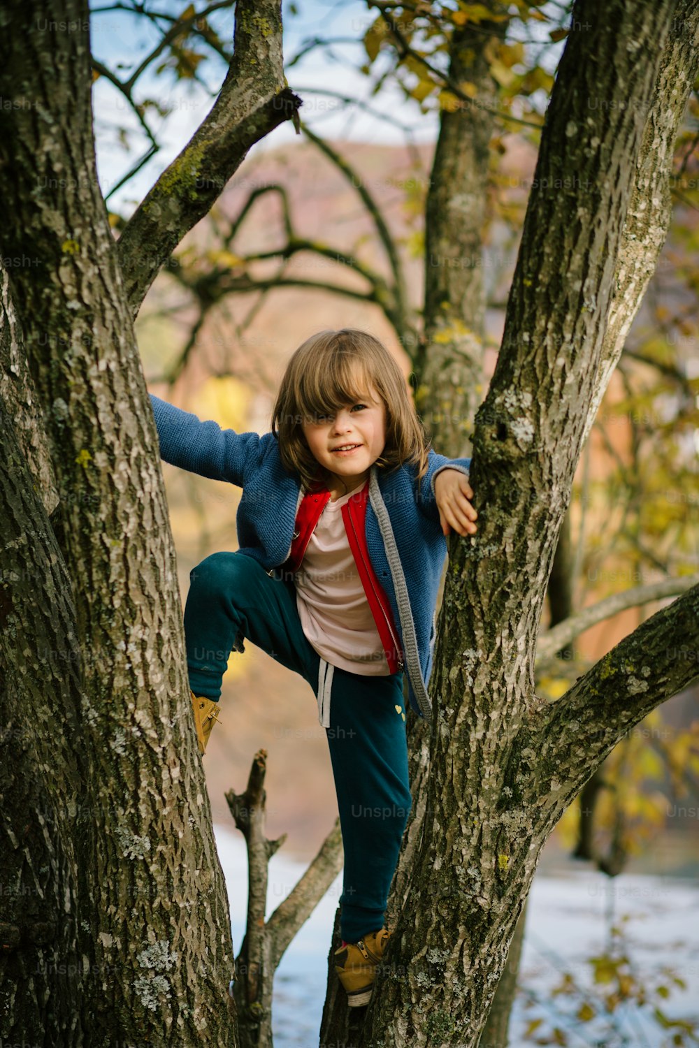 a little girl climbing up a tree in a park