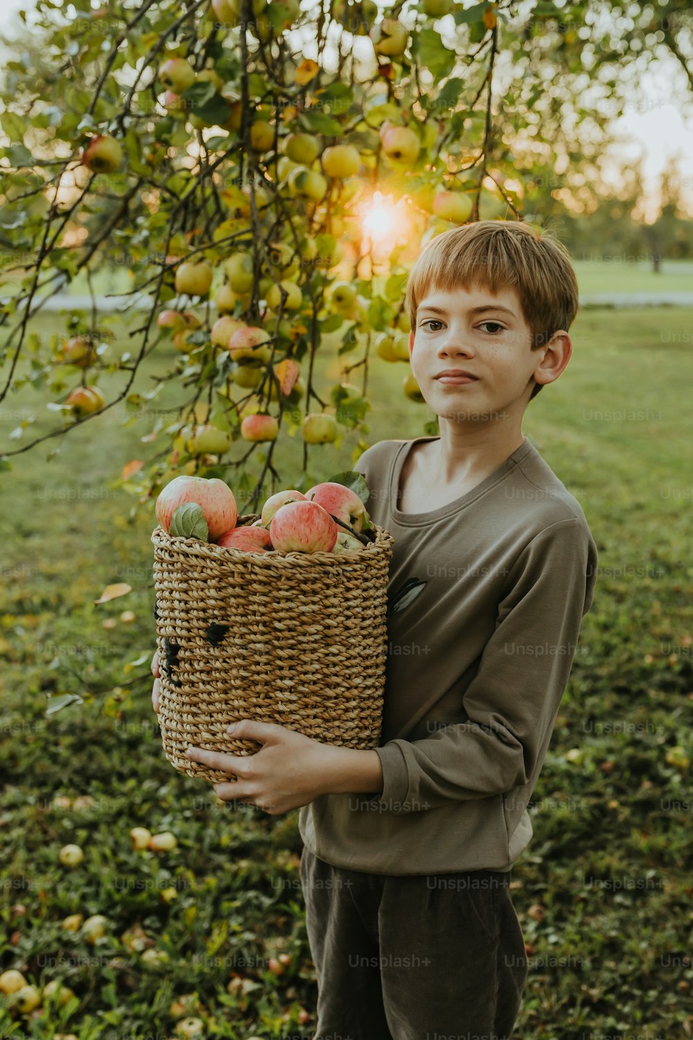 a boy holding a basket full of apples