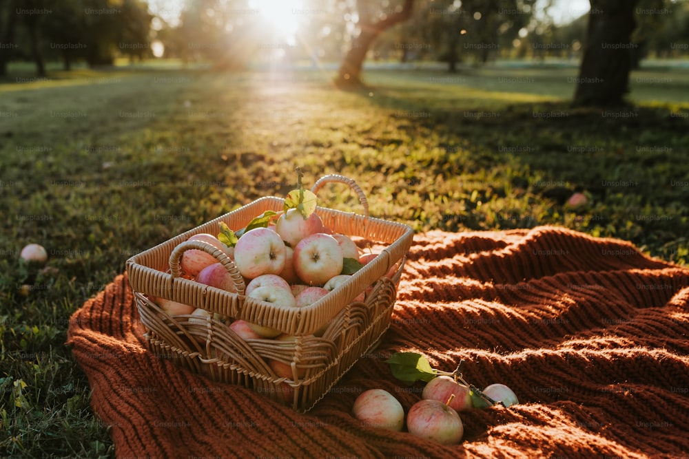 a basket of apples sitting on top of a blanket