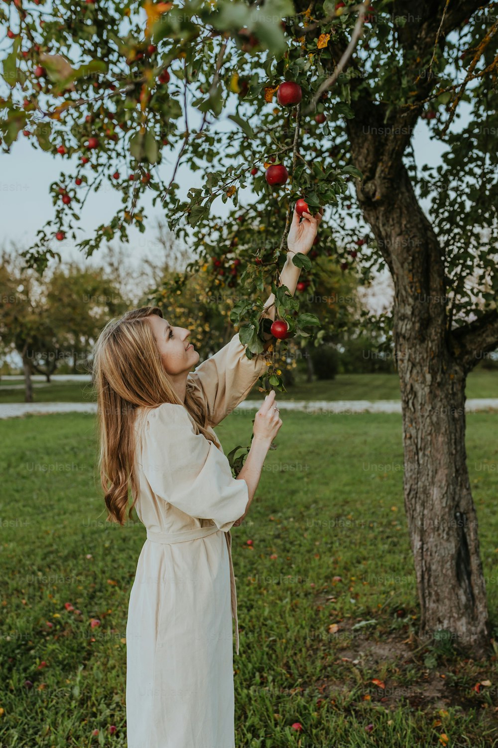 白いドレスを着た少女が木に手を伸ばす