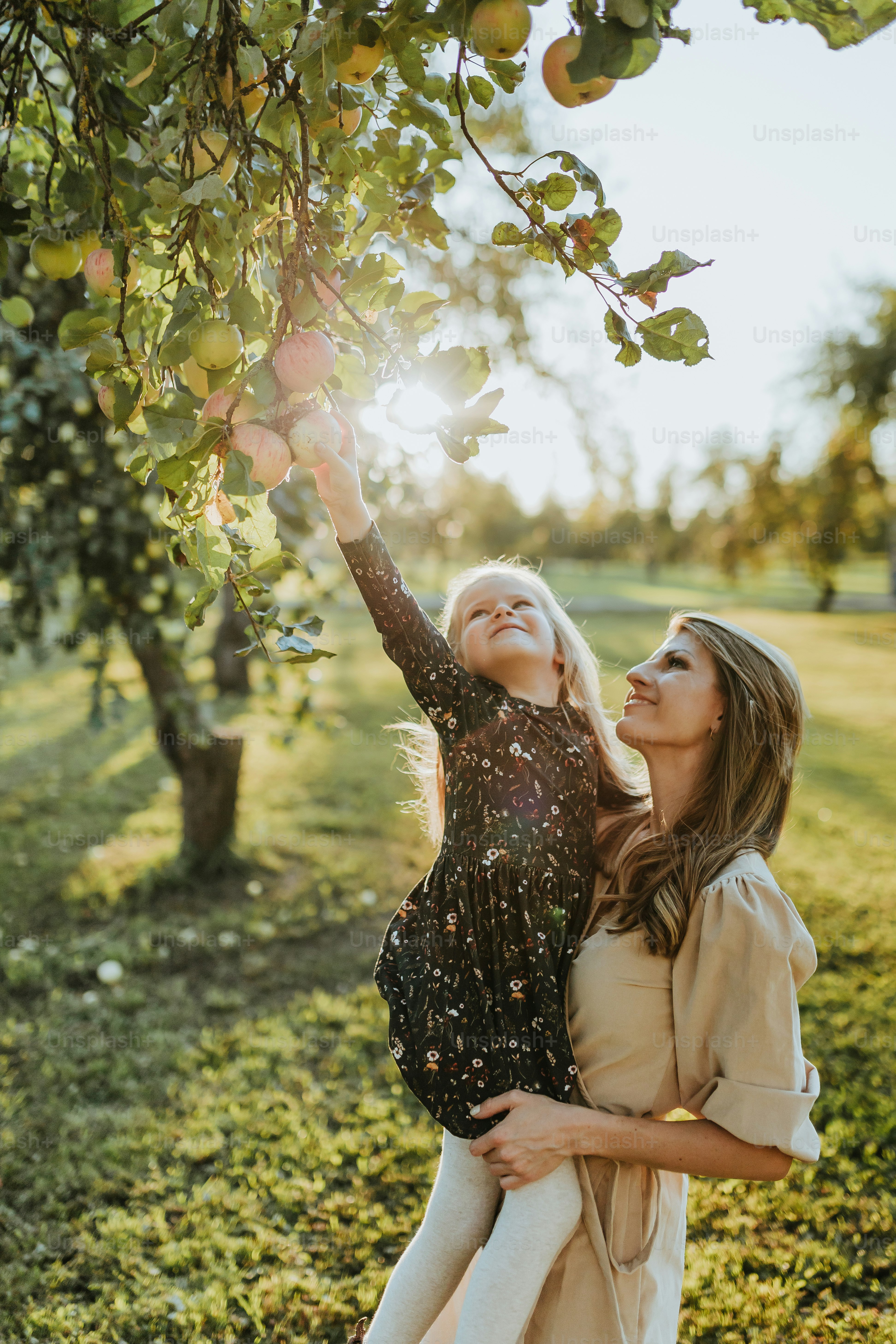 mãe e filha colhendo maçãs de uma árvore