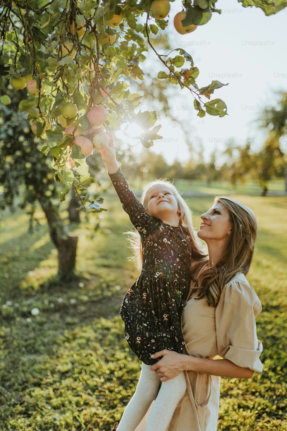 Una madre e una figlia che raccolgono mele da un albero