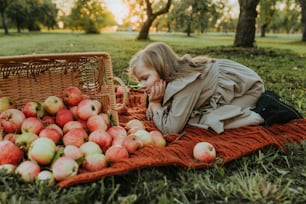 uma menina deitada em um cobertor ao lado de uma cesta de maçãs