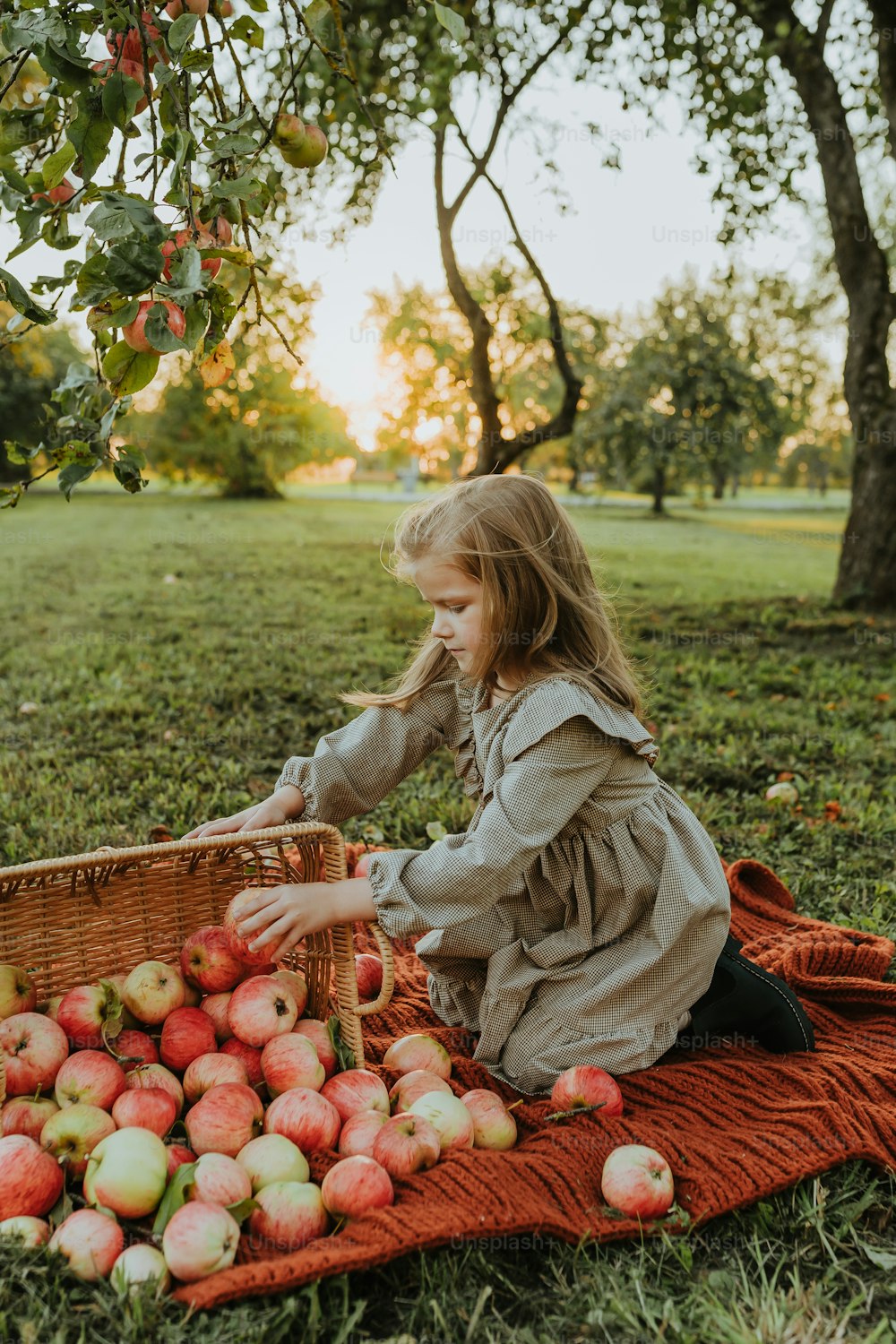 Ein kleines Mädchen, das Äpfel aus einem Korb pflückt