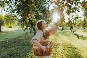 Una mujer recogiendo manzanas de un árbol
