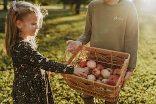 a little girl holding a basket of apples