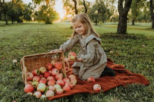 a little girl sitting in the grass with a basket of apples