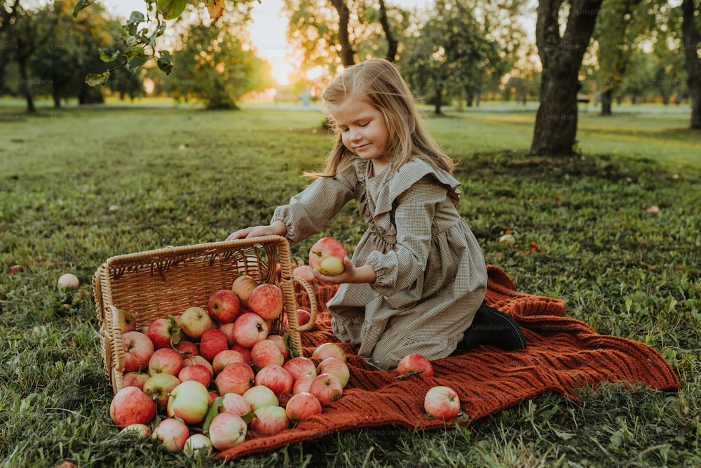 a little girl sitting in the grass with a basket of apples