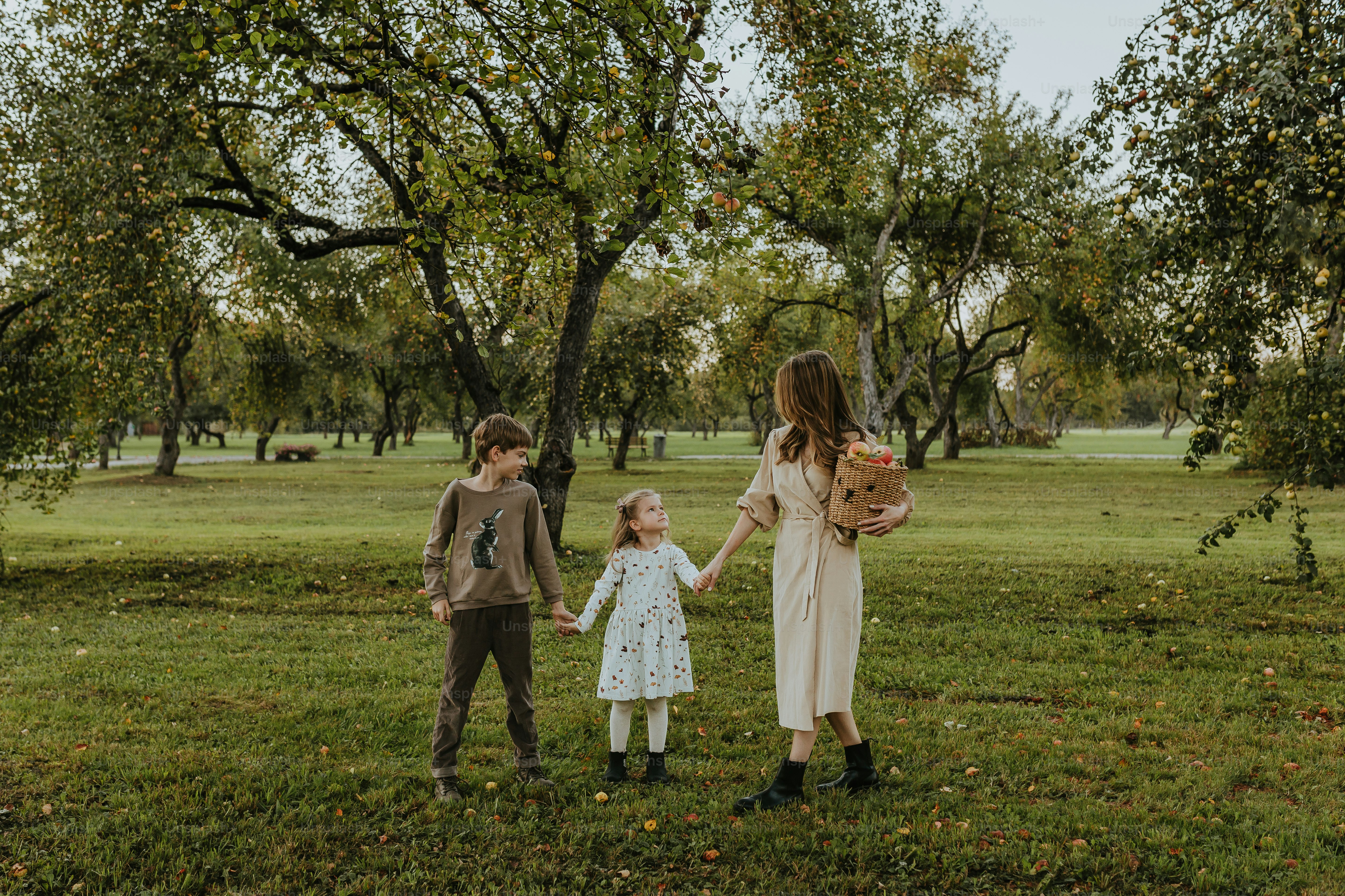 A group of people holding hands in a field photo – Apple Image on Unsplash
