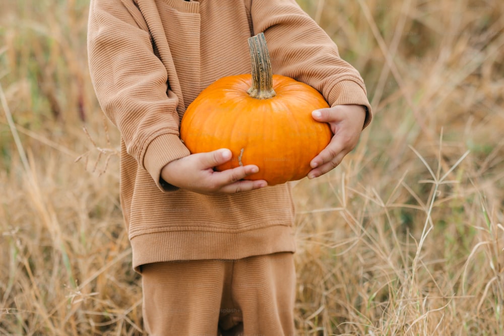 a little boy holding a pumpkin in his hands