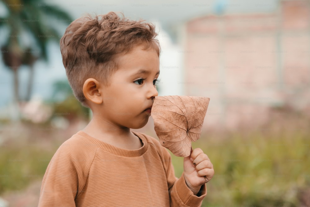 a little boy holding a piece of wood in his mouth