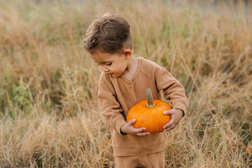 a young boy holding a pumpkin in a field