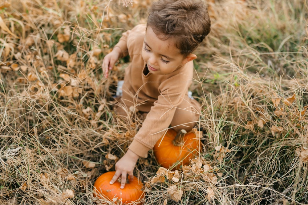 a little boy is playing with some pumpkins