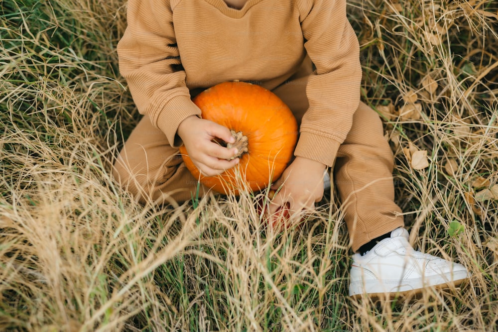 a little boy sitting in a field holding a pumpkin