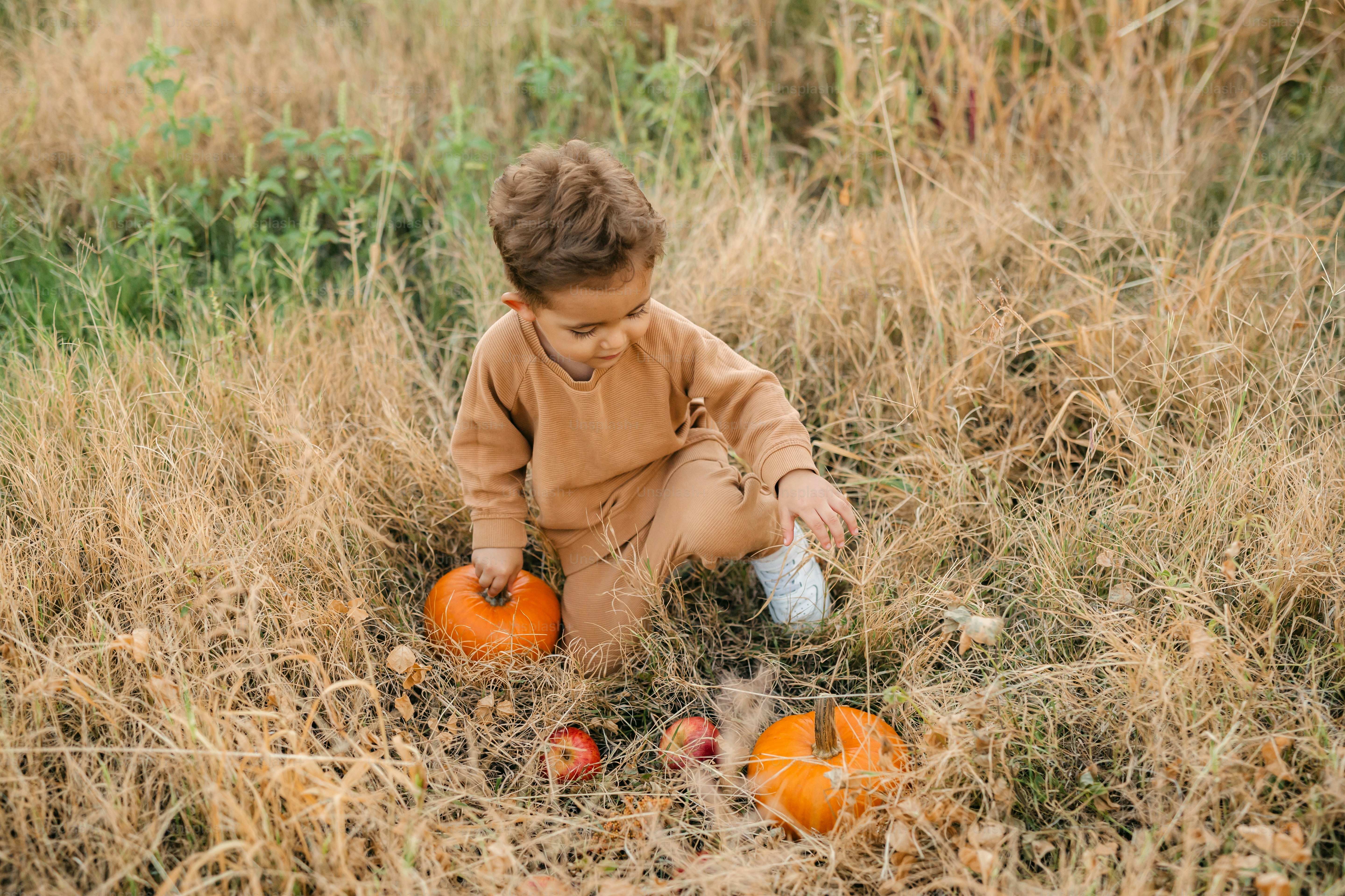 a little boy sitting in a field with some pumpkins