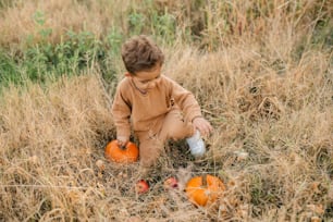a little boy sitting in a field with some pumpkins