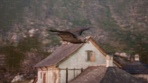 山を背景に家の上を飛ぶ鳥