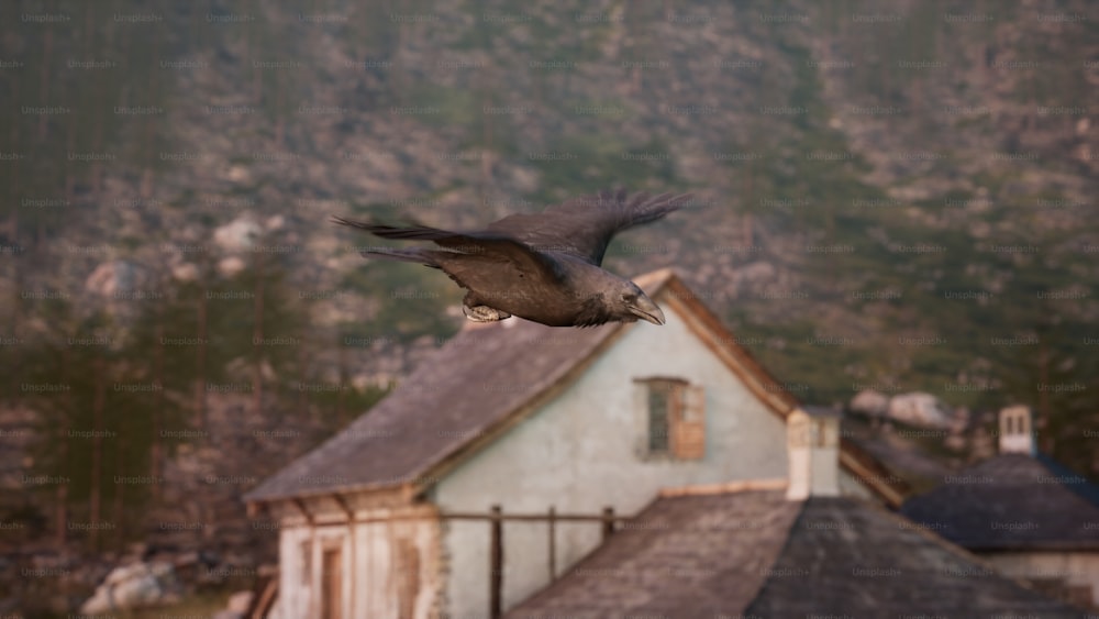 a bird flying over a house with mountains in the background