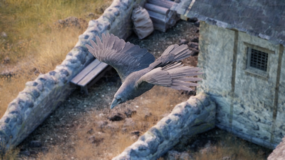 a bird flying over a building in a field