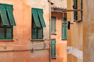 a couple of windows with green shutters on a building