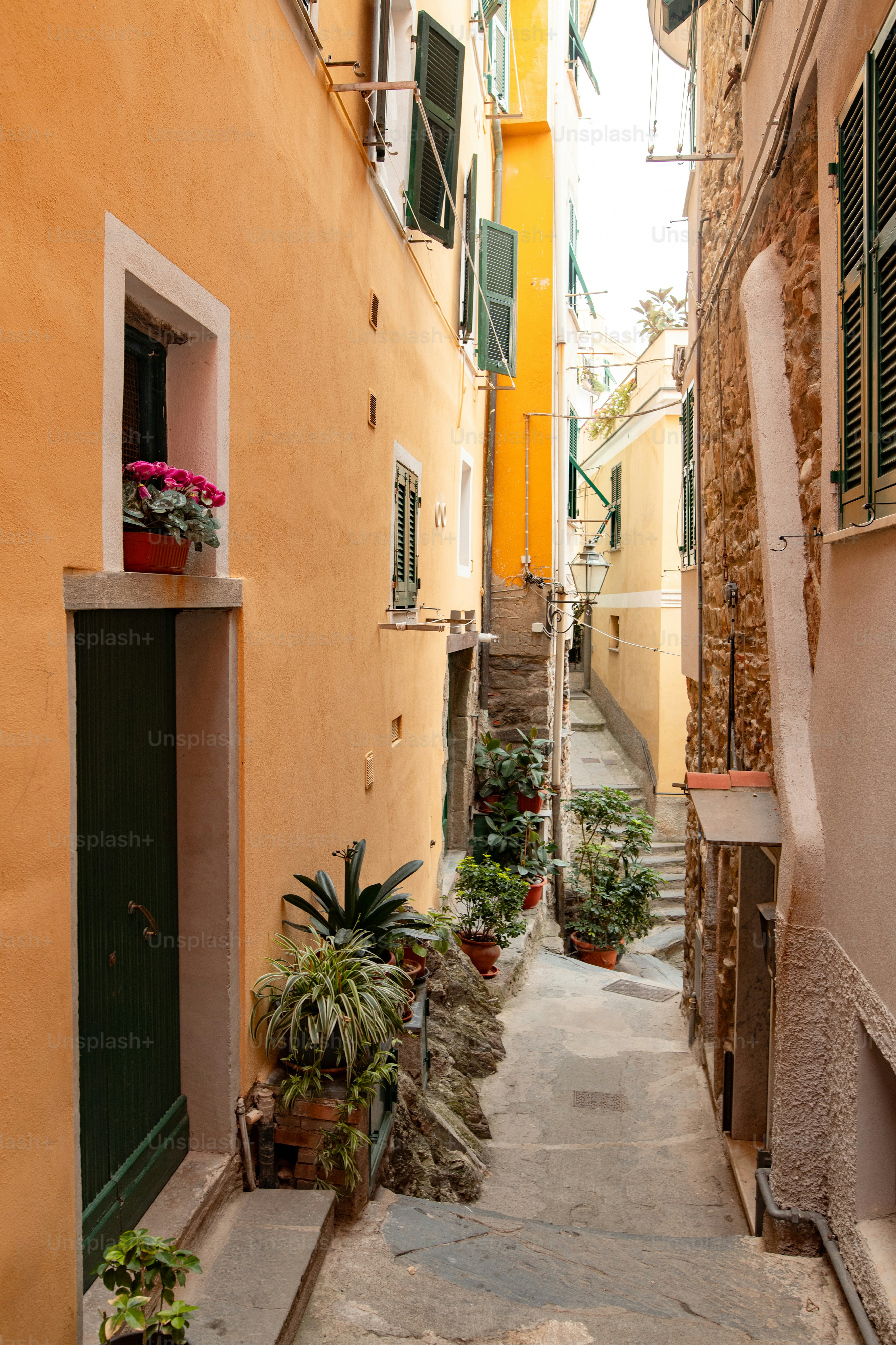 a narrow alley way with potted plants on either side