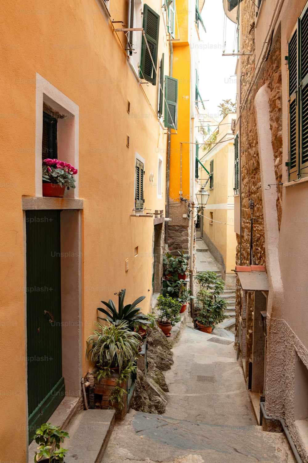 a narrow alley way with potted plants on either side