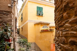a narrow alley way with a yellow building and green shutters