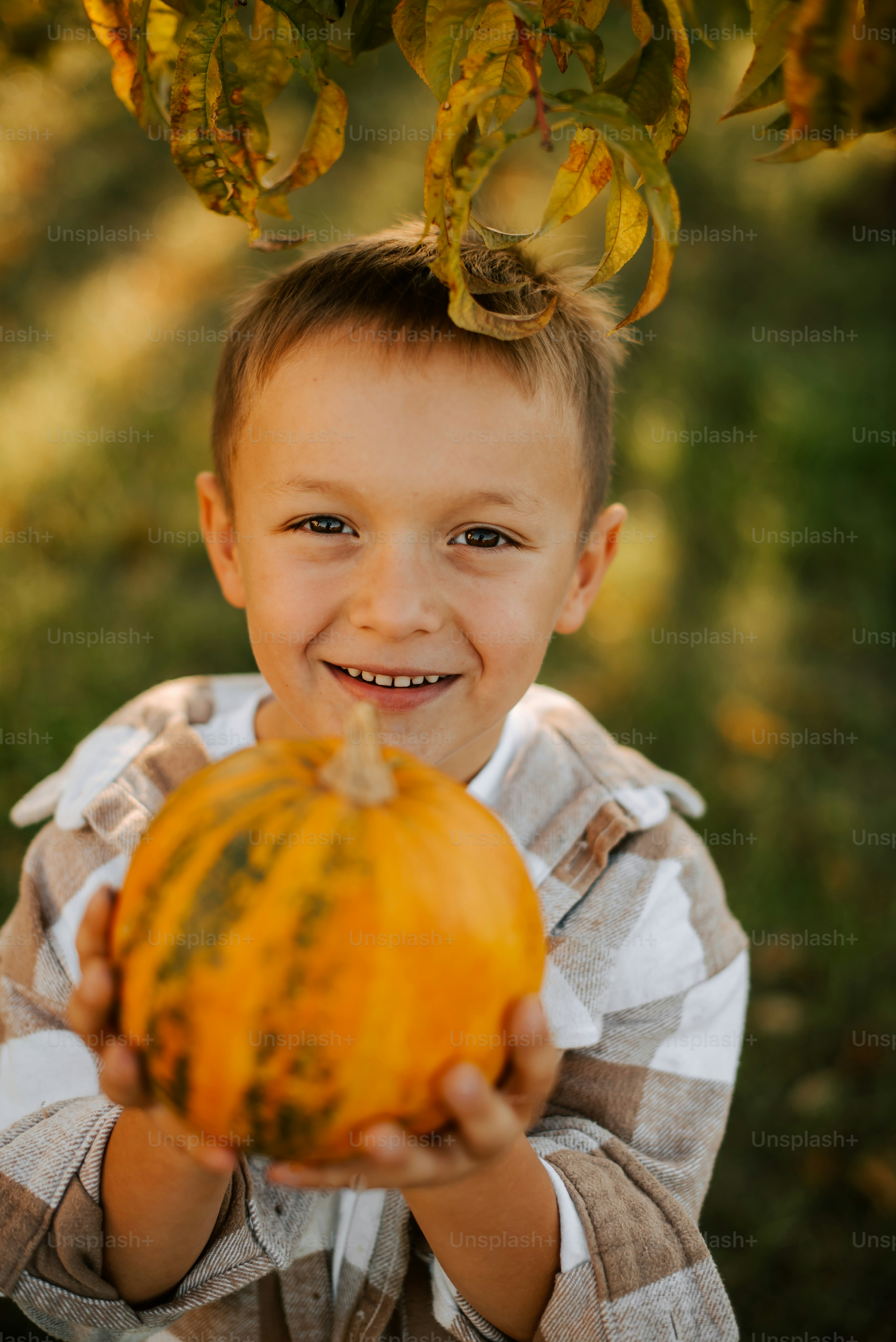 a young boy holding a pumpkin under a tree