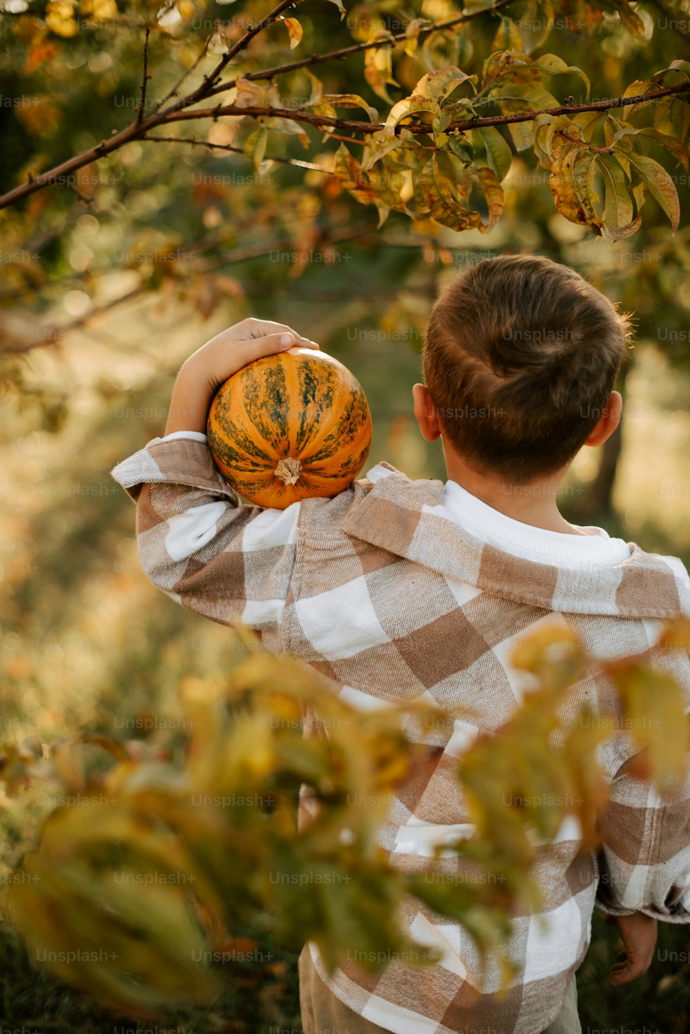 a young boy holding a pumpkin up to his face