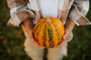 a person holding a pumpkin in their hands